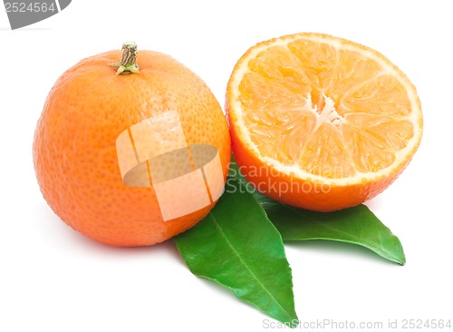 Image of Tangerines