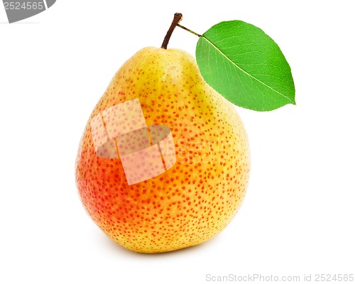 Image of Pear