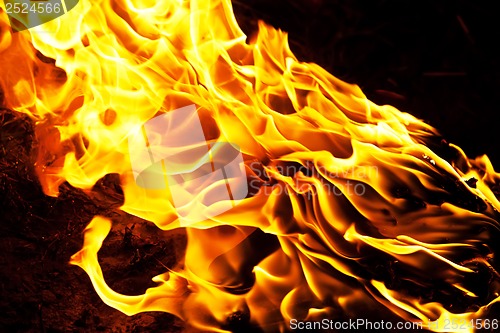 Image of Fire