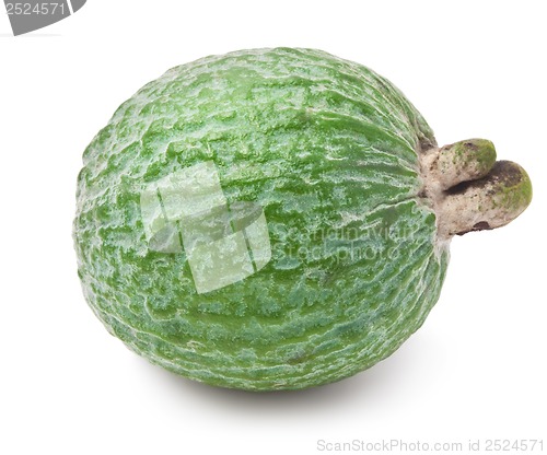 Image of Feijoa fruit