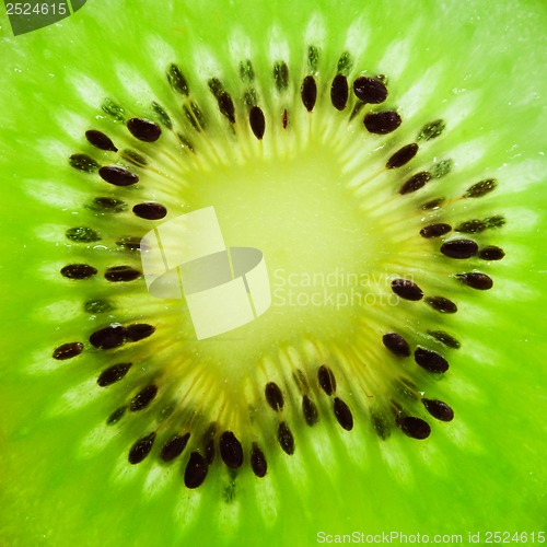 Image of Kiwi