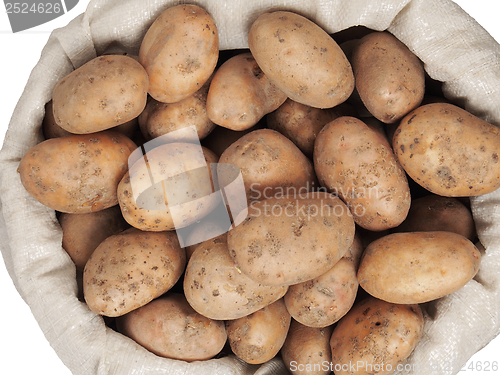 Image of Potatoes in a bag