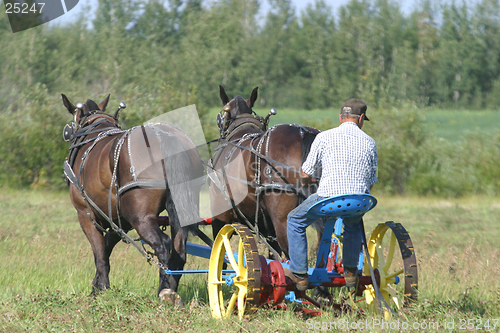 Image of team of horses