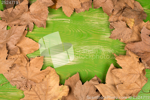 Image of Dry autumn leaves