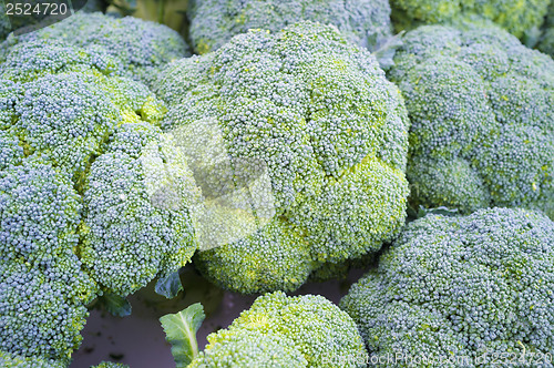 Image of Broccoli