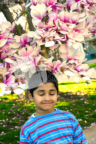 Image of Enjoying the spring
