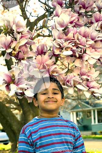 Image of Enjoying the spring