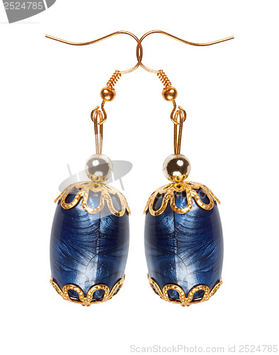 Image of Blue plastic earrings with gold elements on a white background