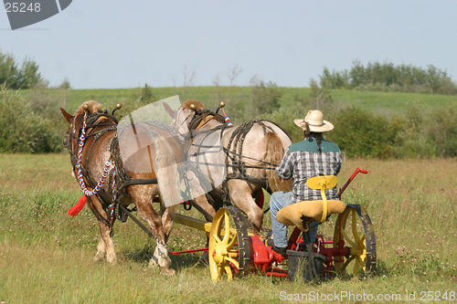 Image of team of horses