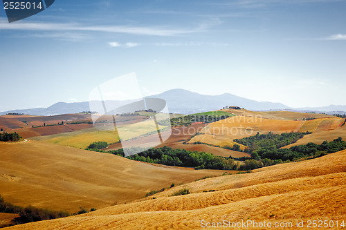 Image of Tuscany Landscape