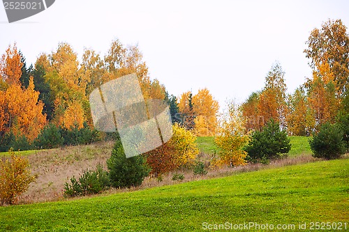 Image of autumn landscape