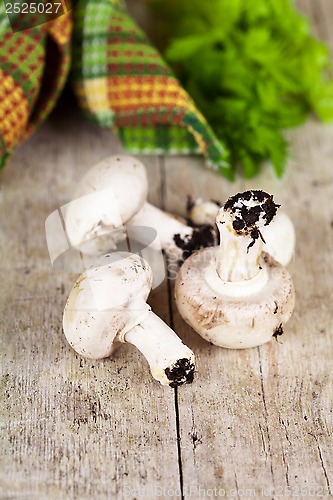 Image of  fresh champignons