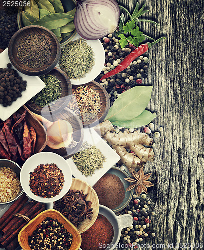 Image of Spices And Herbs