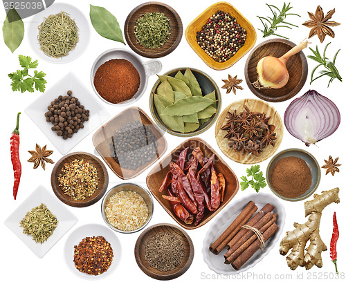 Image of Spices And Herbs