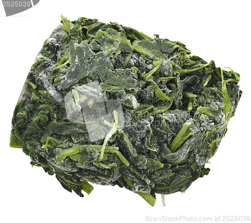 Image of Block Of Frozen Spinach