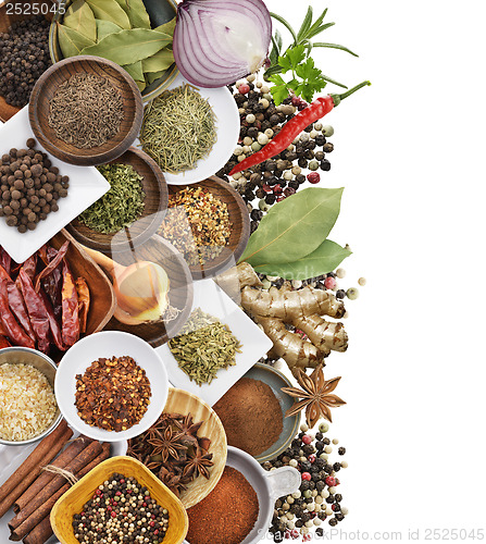 Image of Spices And Herbs