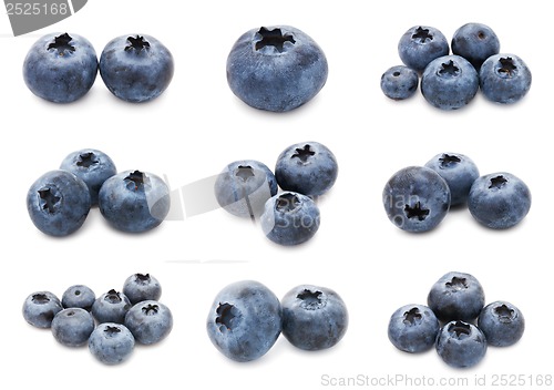 Image of Blueberry set