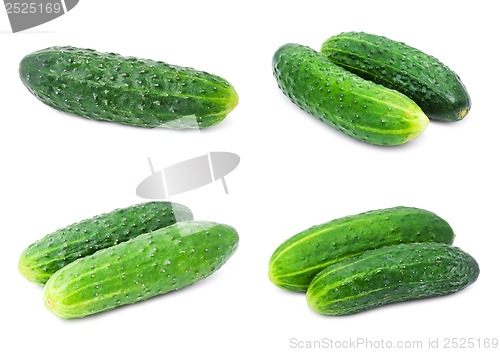 Image of Cucumbers