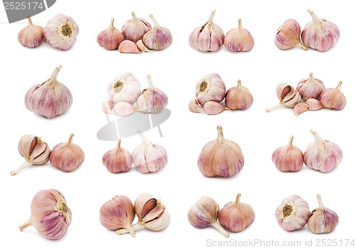 Image of Garlic