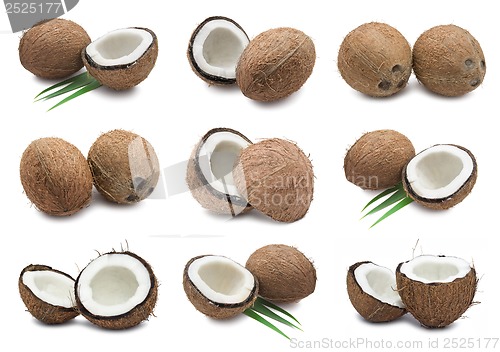 Image of Coconuts