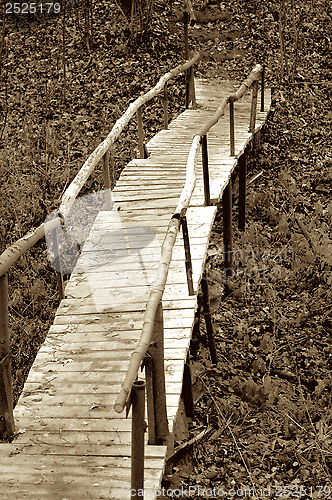 Image of Wooden Foot Bridge