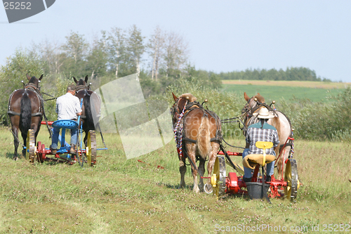 Image of two teams of horses