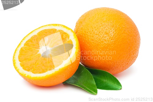 Image of Orange