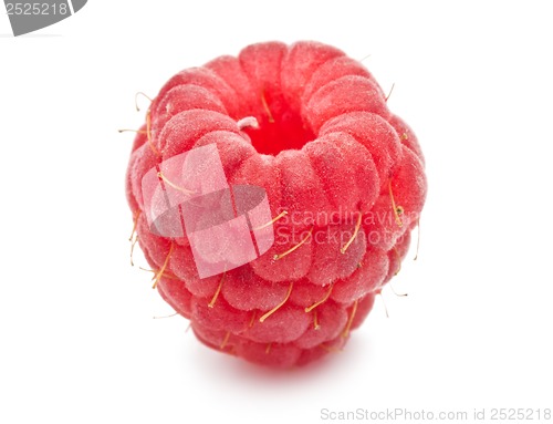 Image of Fresh raspberry