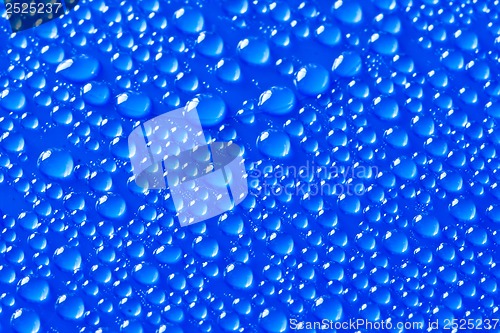 Image of Water drops