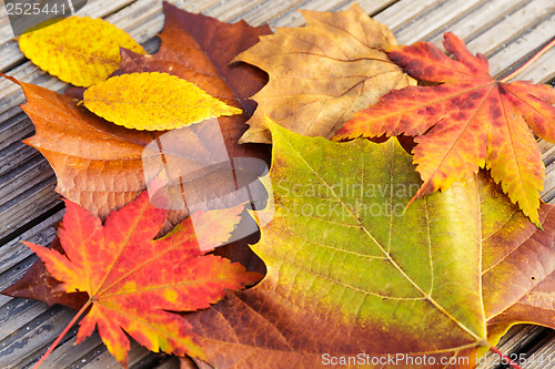 Image of Autumn maple leave with wooden background