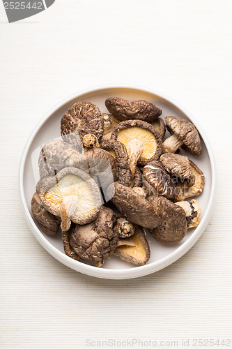Image of Dried mushroom in the plate