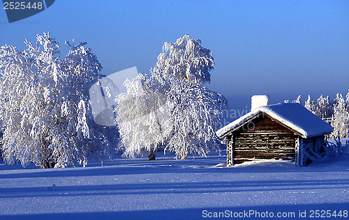 Image of Winter landscape