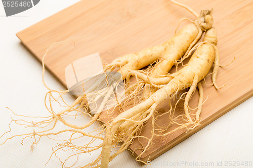 Image of Fresh ginseng stick on the wooden plank