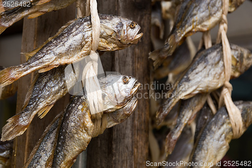 Image of Dried salty fish hanging on the store