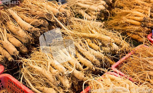 Image of Fresh ginseng in food market