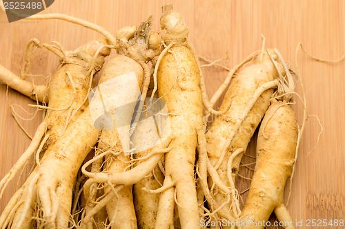 Image of Ginseng