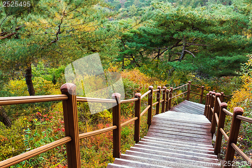 Image of Wooden hiking path to the mountain