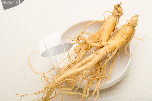 Image of Fresh Ginseng