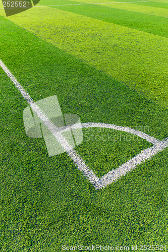 Image of Soccer field grass with white line