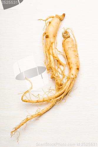 Image of Ginseng over the white background