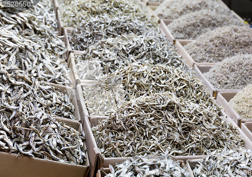 Image of Dried assorted anchovy fish in the market