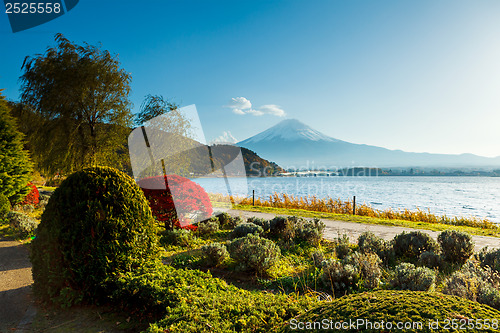 Image of Mt. Fuji in autumn