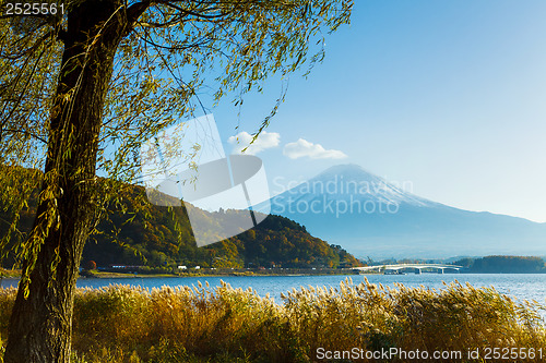 Image of Mt. Fuji and lake