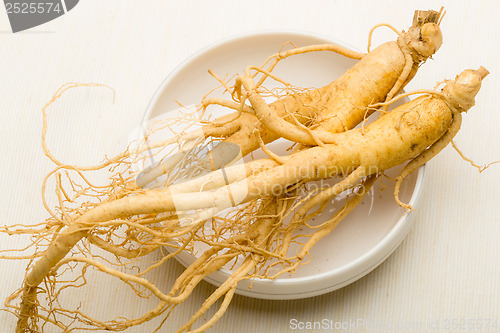 Image of Ginseng