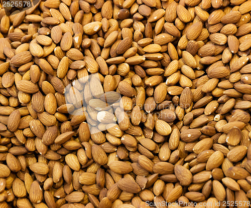 Image of Almond