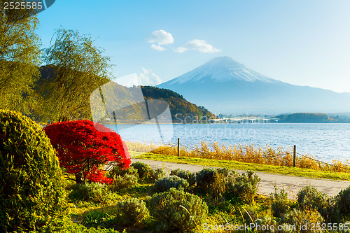 Image of Mt. Fuji in autumn