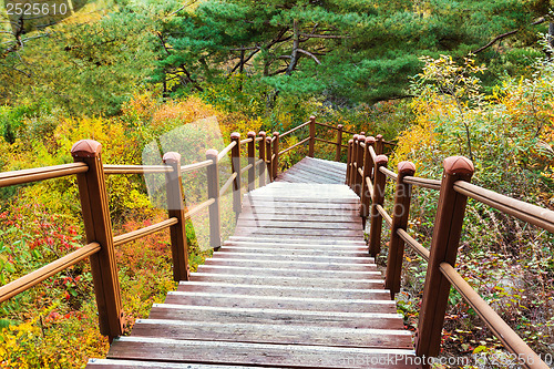 Image of Wooden hiking path to the mountain