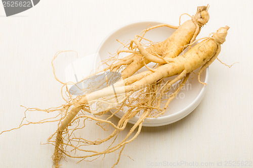 Image of Ginseng on white background