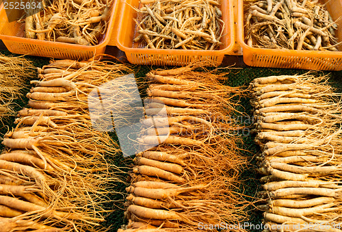 Image of Fresh ginseng in Korean market