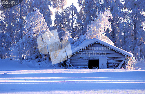 Image of Winter landscape